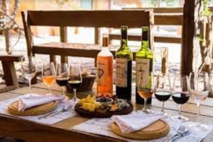 Express tasting of uruguayan wines and cheese