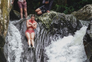 Fajardo: El Yunque Rainforest Hike and Waterslide Adventure