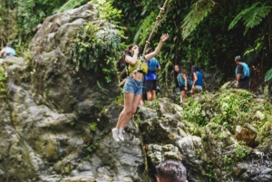 Fajardo: El Yunque Rainforest Hike and Waterslide Adventure