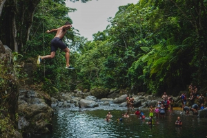 Fajardo: Aventura en el Bosque Lluvioso de El Yunque y tobogán acuático