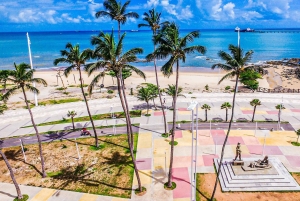 Fortaleza: Panoramic City Tour with Cumbuco Beach Stop