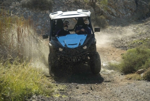 From Arguineguin : Adrenaline or Family Buggy tour