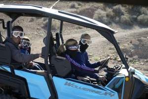 From Arguineguin : Adrenaline or Family Buggy tour