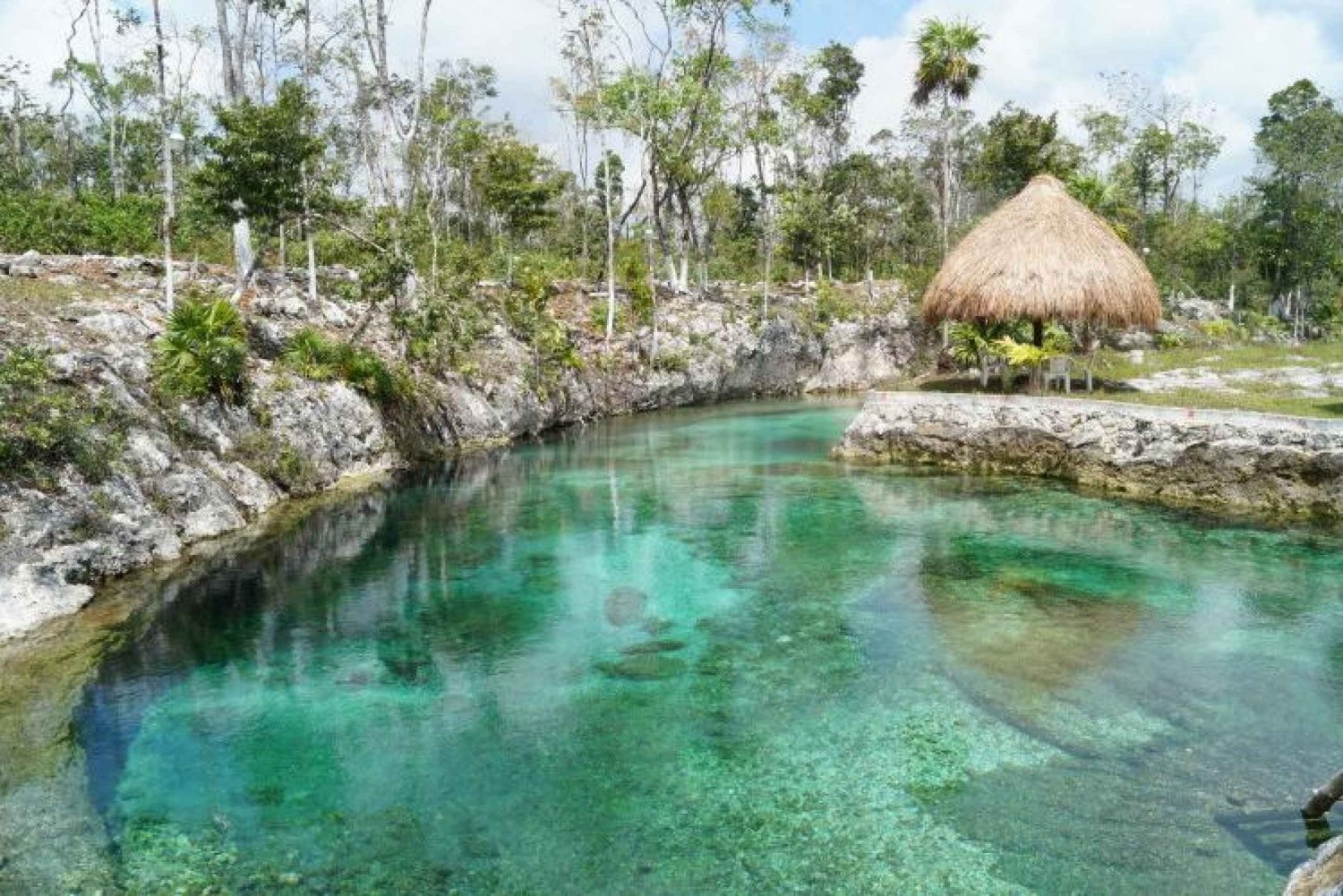 Desde Cancún: Excursión arqueológica de un día a Tulum y Cobá