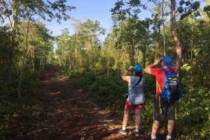 Desde Cancún: Excursión de un día para observar aves