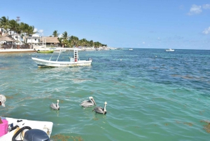 From Cancun: Cenote Swim and Puerto Morelos Shopping Tour