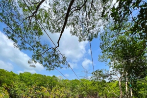 From Cancun: Cenote Swim and Puerto Morelos Shopping Tour