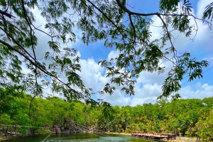 From Cancun: Cenote Swim and Puerto Morelos Shopping Tour