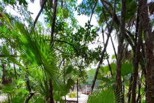 From Cancun: Cenote Swim and Puerto Morelos Shopping Tour