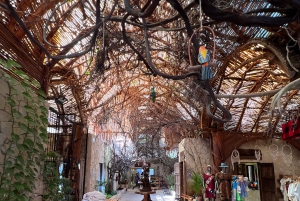 From Cancun: Cenote Swim and Puerto Morelos Shopping Tour