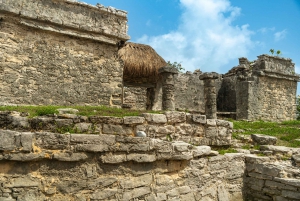 Desde Cancún: Excursión a Cobá, Cenote, Tulum y Playa del Carmen