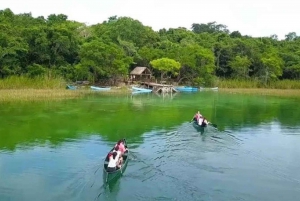 From Cancun: Coba Ruins and Punta Laguna Day Trip