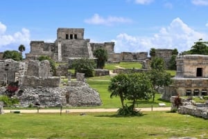 Desde Cancún: Excursión de un día a Tulum, Cenote y Playa del Carmen