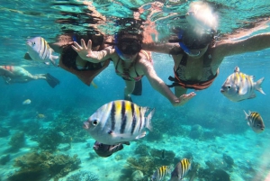 Desde Cancún: Excursión en Catamarán a Isla Mujeres con Comida y Barra Libre