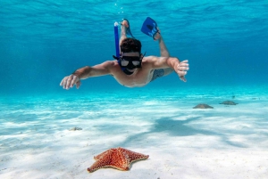 Desde Cancún: Excursión en Catamarán a Isla Mujeres con Comida y Barra Libre