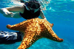 Desde Cancún: Excursión en Catamarán a Isla Mujeres con Comida y Barra Libre