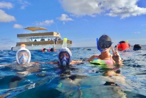 Desde Cancún: Excursión en Catamarán a Isla Mujeres con Comida y Barra Libre