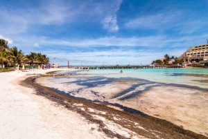 From Cancun: Isla Mujeres Golf Cart Guided Tour & Beach Club