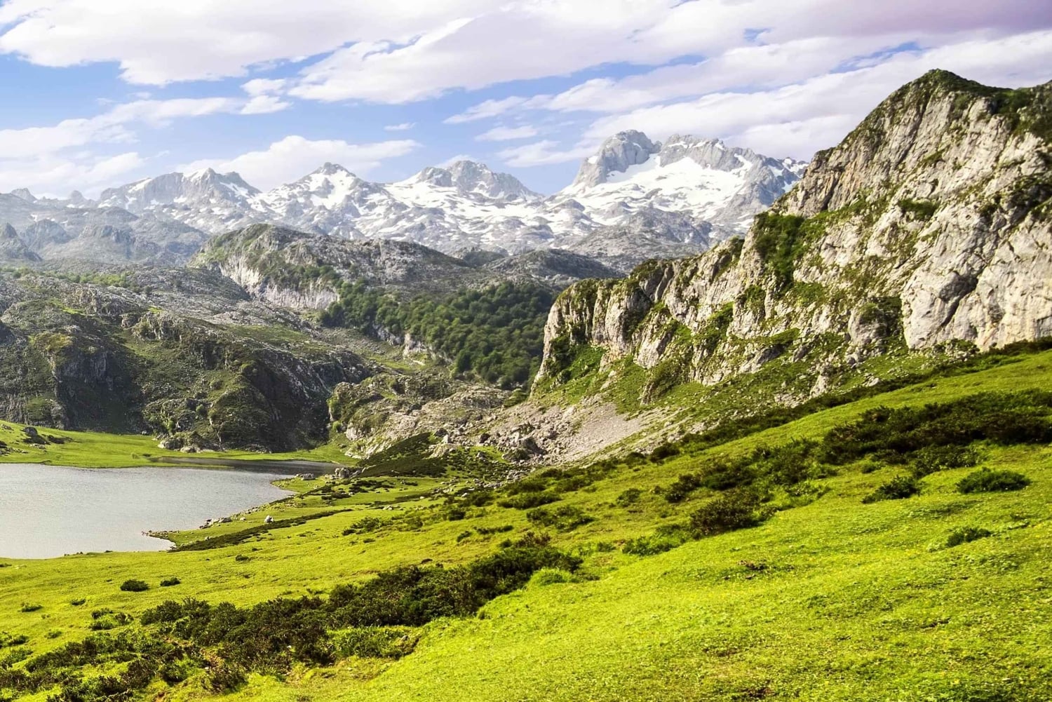 From Cangas de Onis: Covadonga Lakes Guided Day Trip