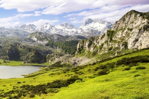 From Cangas de Onis: Covadonga Lakes Guided Day Trip