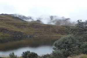 Desde Cuenca: Excursión de medio día al Parque Nacional de Cajas