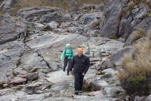 From Cuenca: Cajas National Park Half-Day Trip