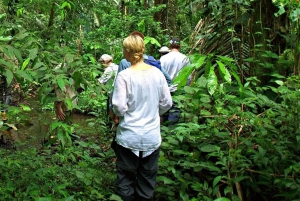 From Cusco: Manu National Park 3 Day Tour