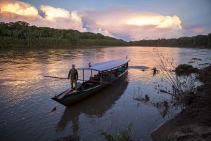 From Cusco: Manu National Park 3 Day Tour