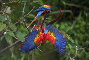 From Cusco: Manu National Park 3 Day Tour