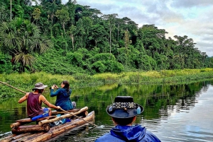 From Cusco: Manu National Park Tour with Accommodation