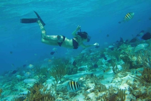 From Fajardo: Boat and Snorkeling in Culebra Island with All-Inclusive