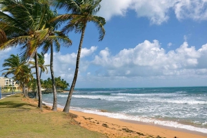 From Fajardo: Boat and Snorkeling in Culebra Island with All-Inclusive