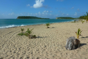 From Fajardo: Boat and Snorkeling in Culebra Island with All-Inclusive