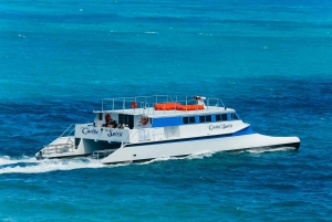 Desde Fajardo: tour día completo en catamarán a isla Culebra