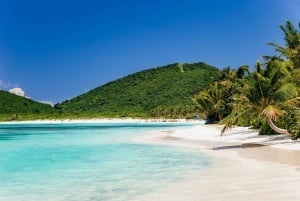 Desde Fajardo: tour día completo en catamarán a isla Culebra