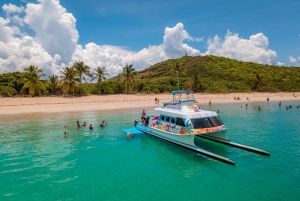 Desde Fajardo: tour día completo en catamarán a isla Culebra