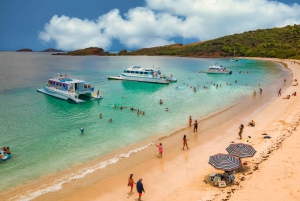 Desde Fajardo: tour día completo en catamarán a isla Culebra