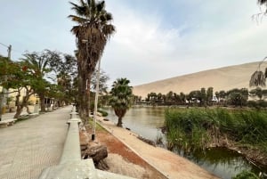 Desde Ica o Huacachina: Buggy en las Dunas al Atardecer y Sandboarding