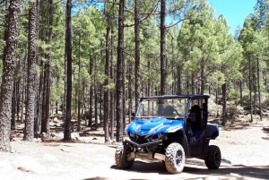 Desde Maspalomas: Excursión en Buggy de 4 plazas por los Paisajes Volcánicos