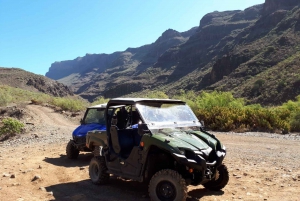 From Maspalomas: Volcanic Landscapes 4-Seater Buggy Tour