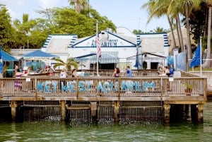 From Miami: Key West Day Tour by Motor Coach Bus