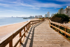 Desde Montevideo: tour guiado de un día de Punta del Este