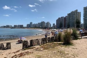 Desde Montevideo: tour guiado de un día de Punta del Este