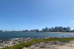 Desde Montevideo: tour guiado de un día de Punta del Este