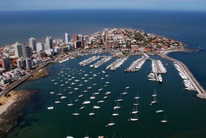 Desde Montevideo: tour guiado de un día de Punta del Este