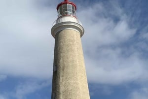 Desde Montevideo: tour guiado de un día de Punta del Este