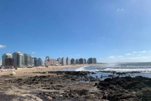 Desde Montevideo: tour guiado de un día de Punta del Este