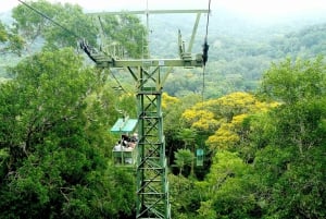 From Panama City: Gamboa Rainforest Guided Tour with Lunch
