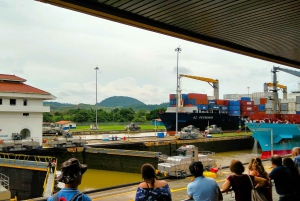 From Panama City: Panama Canal and Monkey Island Tour