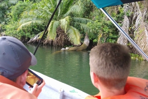 From Panama City: Panama Canal and Monkey Island Tour